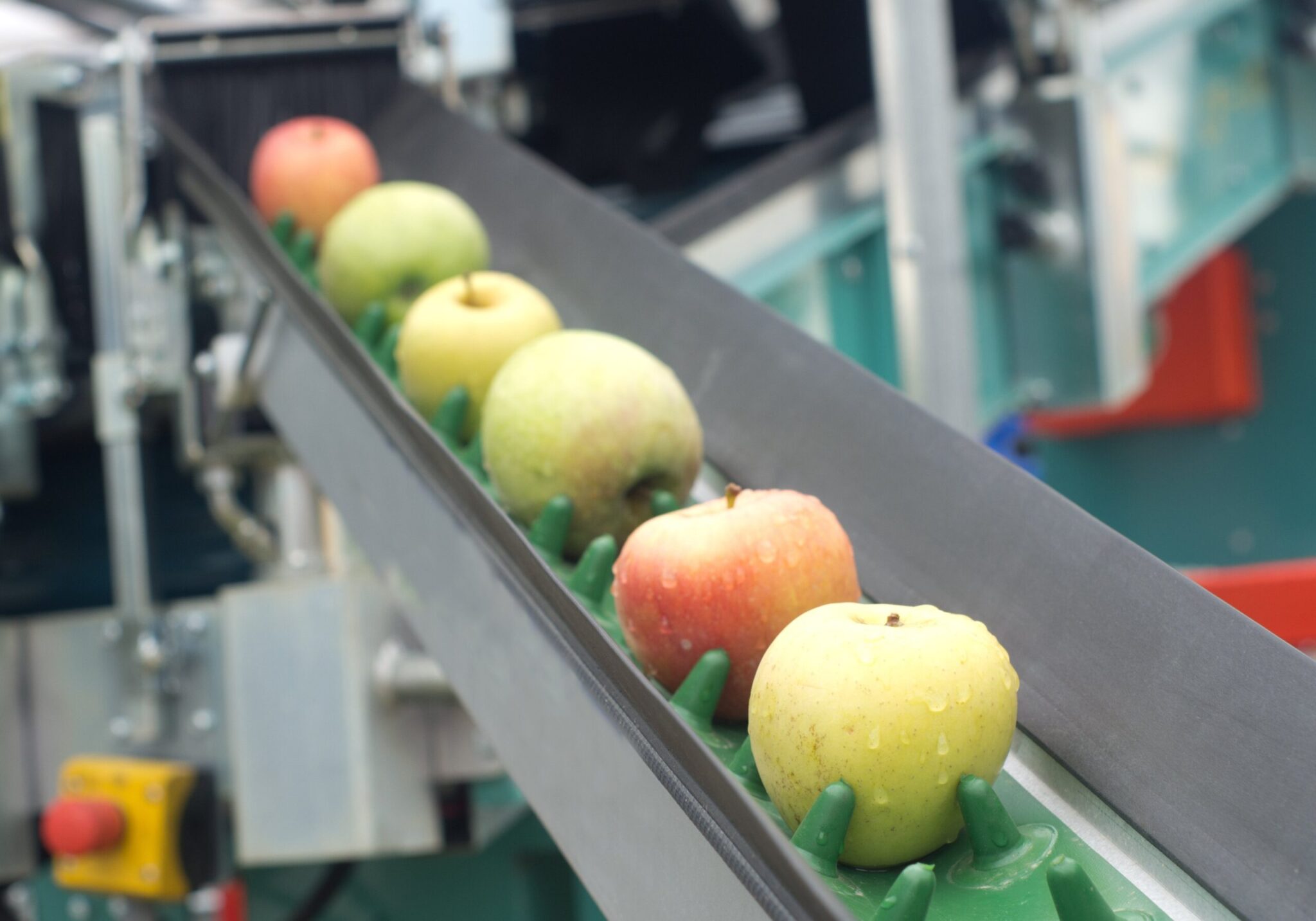 ¿Cómo se forma un técnico en producción industrial de alimentos ¿Cómo se forma un técnico en producción industrial de alimentos