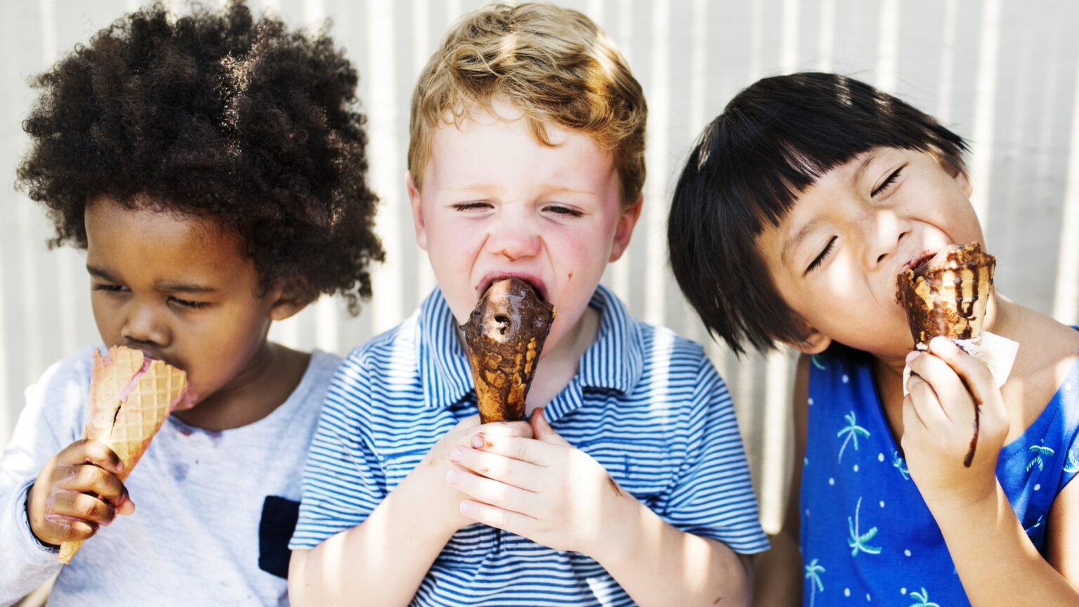 ¿De Dónde Provienen Los Alimentos Que Comemos? ¡Una Explicación Para Niños!